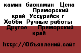 камин  биокамин › Цена ­ 14 000 - Приморский край, Уссурийск г. Хобби. Ручные работы » Другое   . Приморский край